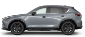 Polymetal Grey